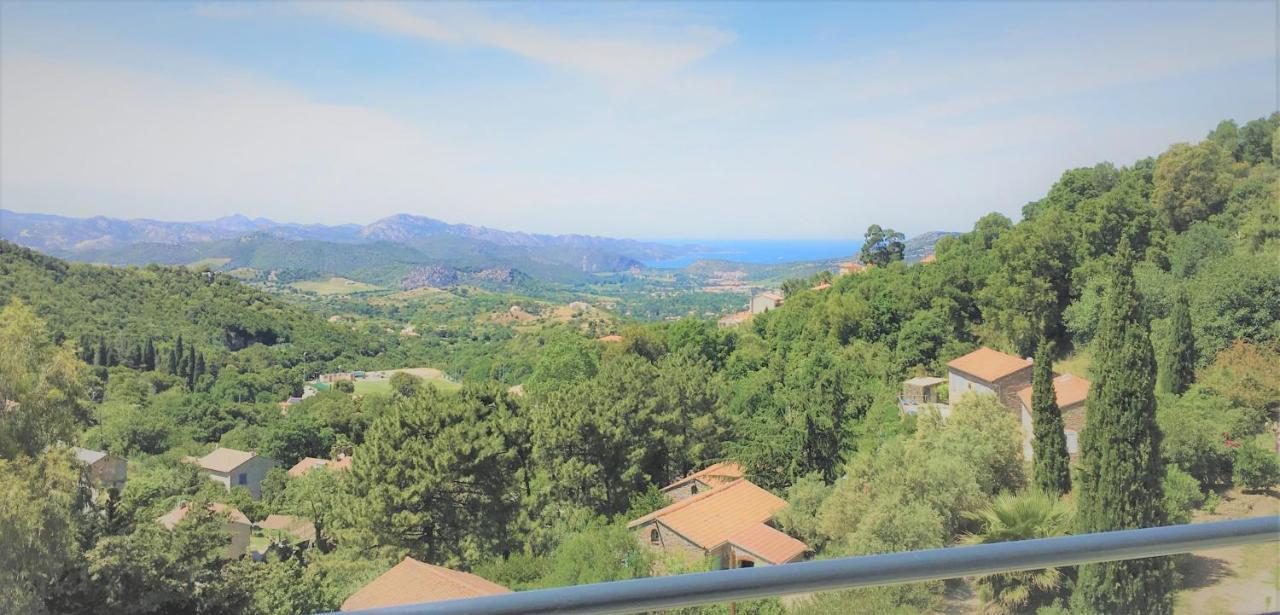 A Casa Di Campa Villa Oletta  Exteriör bild