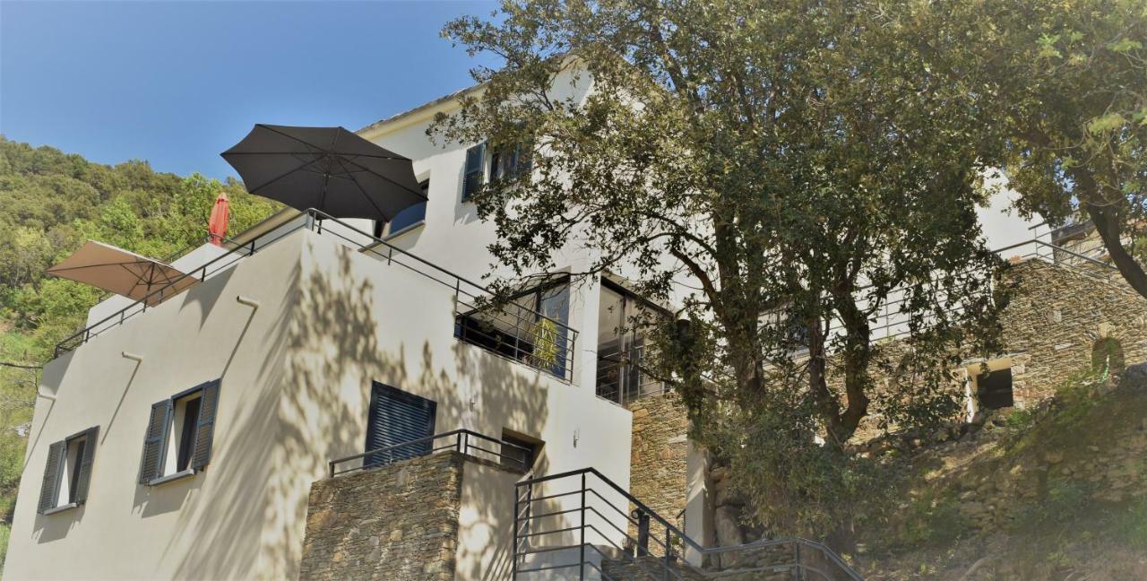 A Casa Di Campa Villa Oletta  Exteriör bild